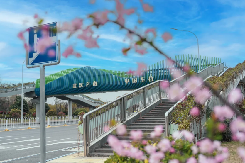 “城”春草木生！车谷城发约你一起「上春山 赏春花」
