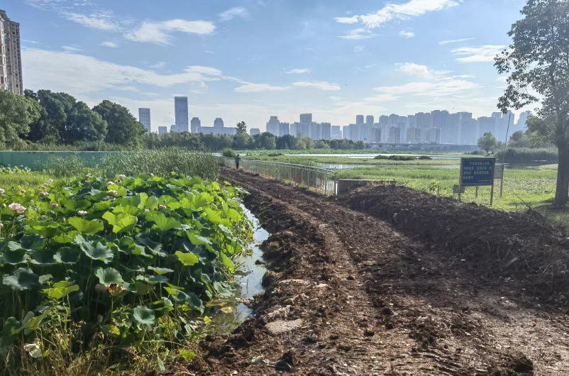 市民家门口添新绿，共同缔造享美好