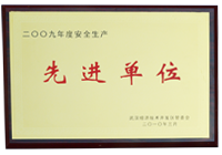 武汉车都建设投资有限公司获2009年度区安全生产先进单位奖