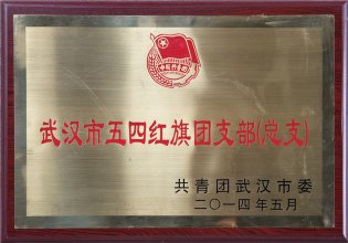 2014年武汉市五四红旗团支部（总支）