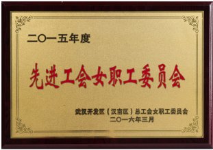 2015年度先进工会女职工委员会