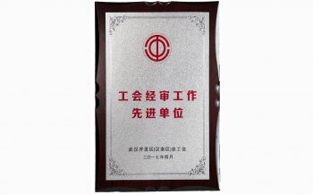 2017年工会经审工作先进单位