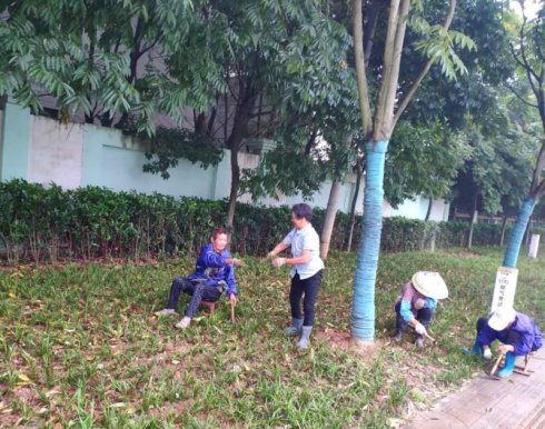 一线园林工人“最强降雨”期间坚守岗位