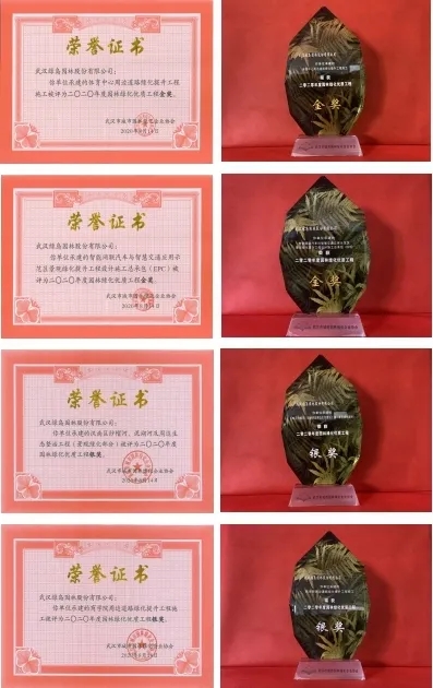 喜报：绿岛园林公司承接工程 荣获省、市园林绿化优质工程六项奖项