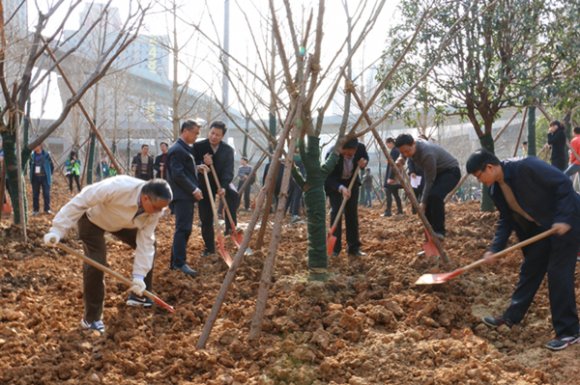 公司组织开发区2016年义务植树活动
