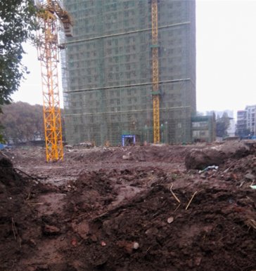汪家嘴立交范围绿化填土土源通过验收
