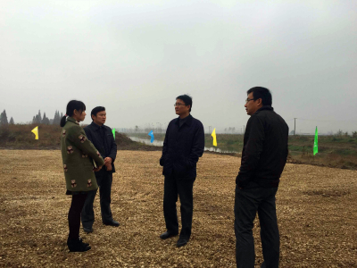 公司领导现场调研汉南区下东城垸排涝系统工程项目
