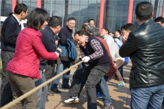 迎新春拔河比赛
