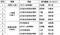 关于“大手握小手手工作品秀”活动评选结果的通报